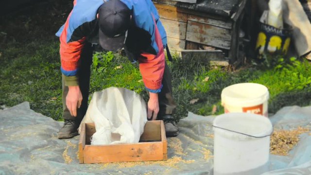 Pour the grain from a white sack into a sieve. Step of sieving grain manually