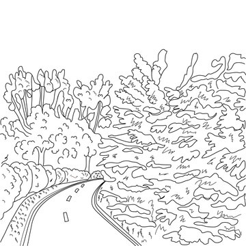 park road and trees graphic black and white landscape sketch
