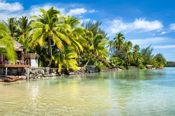 Fototapeten Urlaub auf einer einsamen Insel  © eyetronic