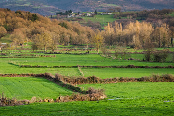 Farmland in rural Spain - Galicia