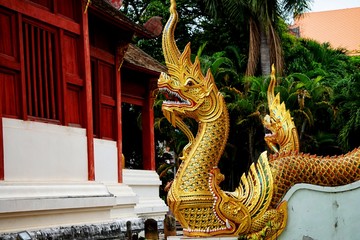 Fototapeta premium Nagas are mythical serpent beings that originated in Hinduism. In Buddhism, they often are protectors of the Buddha and of the dharma. The word naga means 