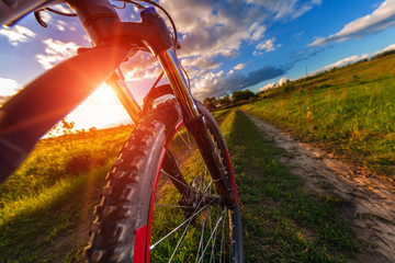 Mountain biking down hill descending fast on bicycle. View from bikers eyes.
