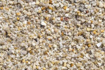 Gravel texture background .Beautiful sea pebbles. rough sea stones.