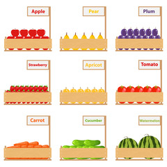Fruits and vegetables in boxes