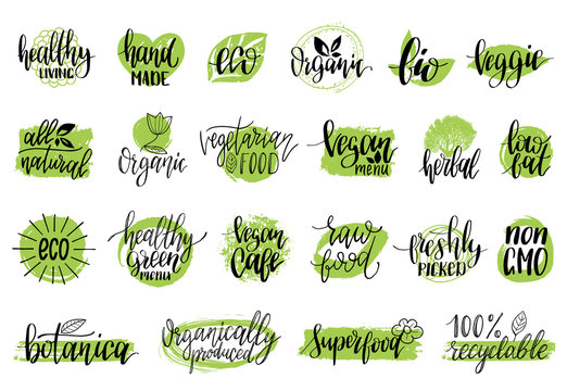 Vector eco, organic, bio signs. Vegan, healthy food illustrations set for cafe, restaurant badges, tags, packaging etc.