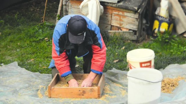 The farmer sifts the grain manually. Hands of the worker who sifts the grain of oats through a sieve. Hands of an elderly person. Disappearing profession concept
