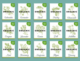 Herbs and spices cards set. Hand drawn medicinal, cosmetic plants collection. Engraving botanical illustrations tags. © vladayoung