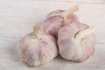 Garlic