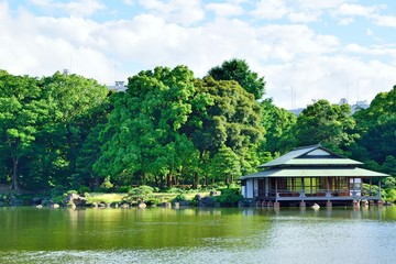 Fototapeta na wymiar a traditional Japanese landscape garden 