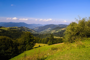 Naklejka na ściany i meble Carpathian Mountains in summer time