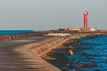 Breakwater dam with lighthouse