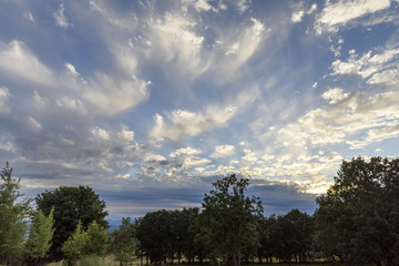 Wispy Sunray Lit Clouds at Sunset, Willamette Valley, Marion County, Western Oregon