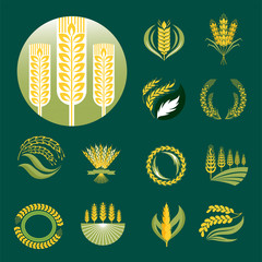 Cereal ears and grains agriculture industry or logo badge design vector food illustration organic natural symbol