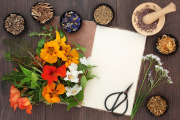 Flower and herb selection used in natural alternative herbal medicine with hemp paper notebook and scissors on oak background.