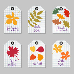 Set of tags with tree leaves. School background.