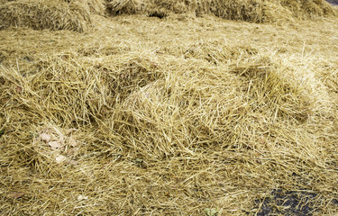 Floor scattered straw