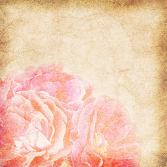 Flower vintage paper background