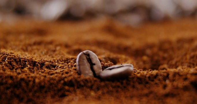 Two coffee beans on roasted coffee powder