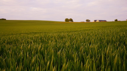 Naturschutzgebiet Deutschland