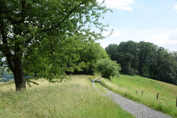 Feldweg im Odenwald
