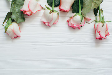 Fototapeta na wymiar Roses on a white wooden background.