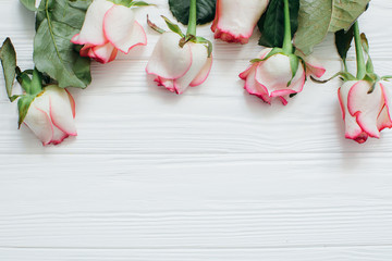 Roses on a white wooden background.