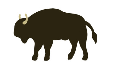 Bison illustration