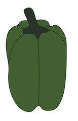 Green pepper illustration