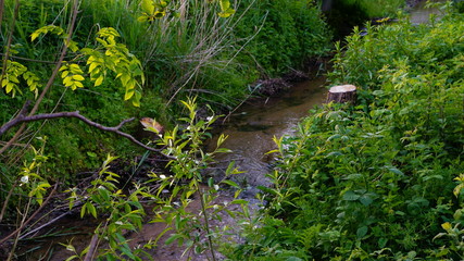 Naturschutzgebiet Baden Württemberg