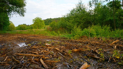 Naturschutzgebiet Baden Württemberg
