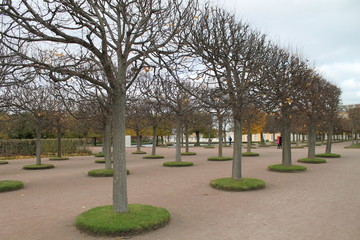 Autumn Peterhof