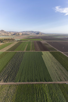 Aerial view of farmland near Camarillo in Ventura County, California. 