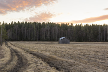 a shed on a field of grass in the sunset