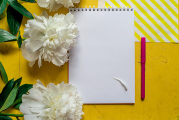 Lone beige white peony on old painted yellow wood grunge background texture for summer with notebook and pencil. Flat lay, top view with copy space