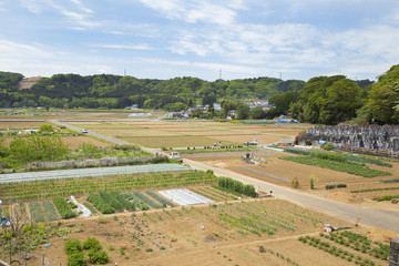 Fototapeta na wymiar あきるの市秋川地区　畑のある風景
