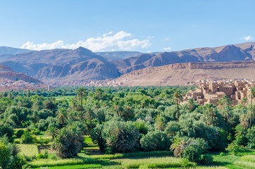 Beautiful lush green oasis with buildings and mountains at Todra Gorge, Morocco, North Africa
