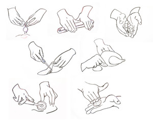 hands of chef, kitchen illustration