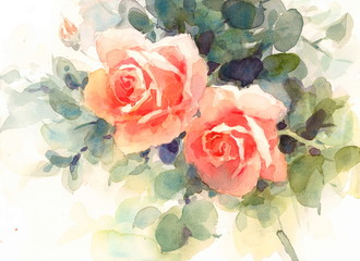 Watercolor Flowers Roses Floral Background Texture Hand Painted Illustration