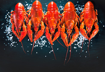 Crawfish. Red boiled crayfish with herbs on stone slate dark background