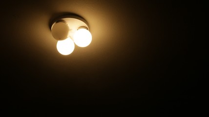 Low Light Bulb