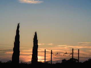 Silhouette of cypress trees and train cable at sunset