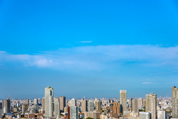 Fototapeta na wymiar 青空と東京都心の風景