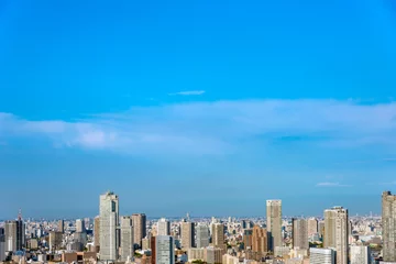 Foto op Plexiglas 青空と東京都心の風景 © hit1912