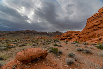 Red Boulder in Foreground of Desert © Jeanna