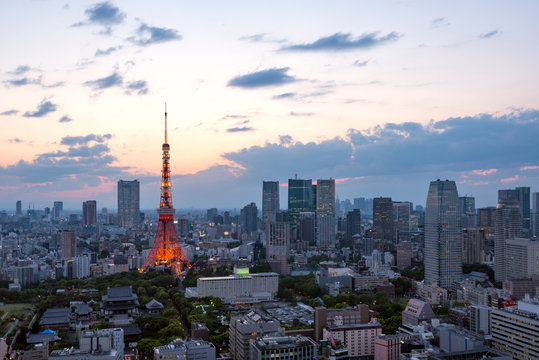 夕日に映える東京タワーと東京都心の景色