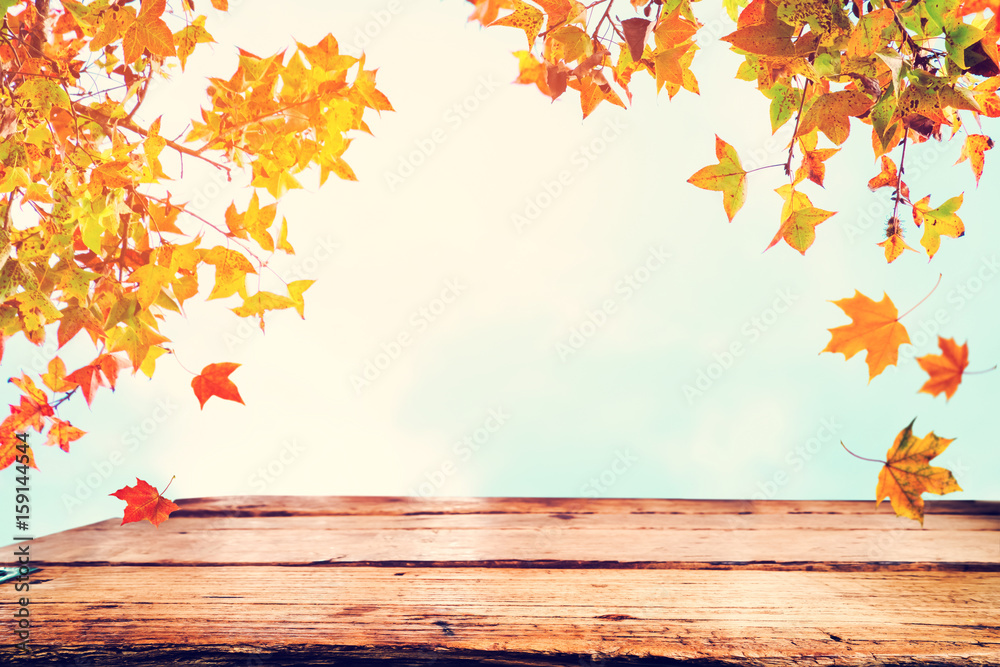 Wall mural top of wood table with beautiful autumn maple tree on sky background - empty ready for your product 