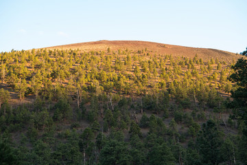 Fototapeta premium Nightfall at Sunset Crater Volcano National Monument