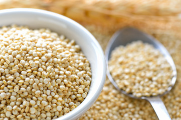 Quinoa