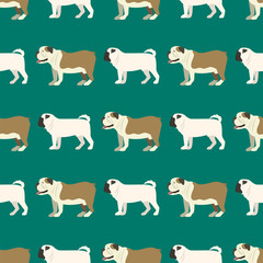 Fototapeta na wymiar Funny cartoon bulldog dog character bread seamless pattern puppy pet animal doggy vector illustration.