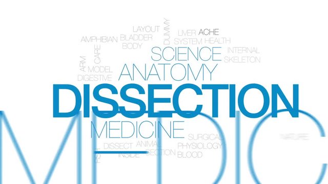 Dissection animated word cloud, text design animation. Kinetic typography.